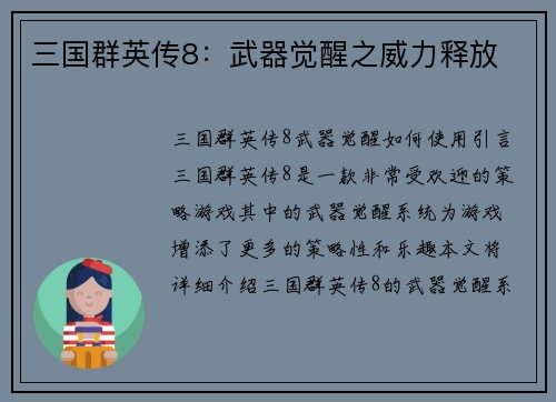 三国群英传8：武器觉醒之威力释放